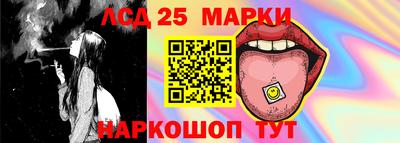 кокс Кингисепп