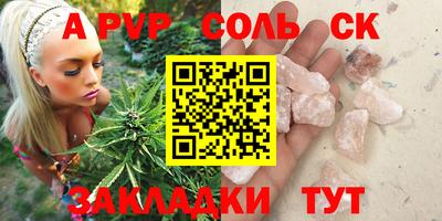 кокс Кингисепп