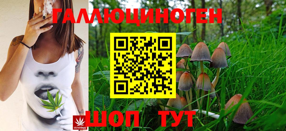 Галлюциногенные грибы GOLDEN TEACHER Красноармейск